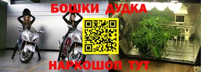 крисы Тулун
