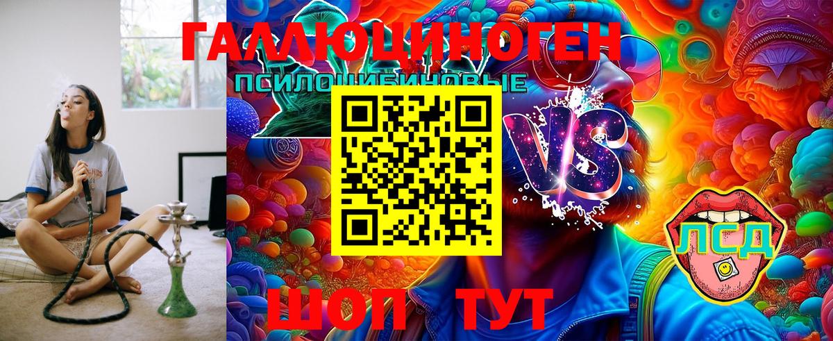 купить наркотики сайты  Галлюциногенные грибы Psilocybine cubensis  Вход с VPN  Алексин 