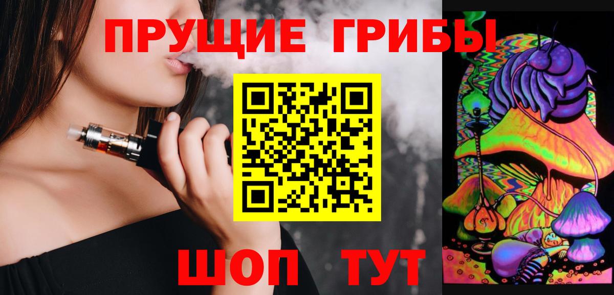 Псилоцибиновые грибы Psilocybe Алексин